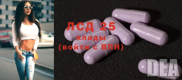 соль ск Алексеевка