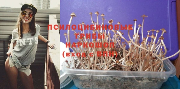 бутират Алексин
