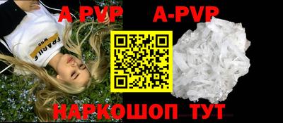 СК Тверь
