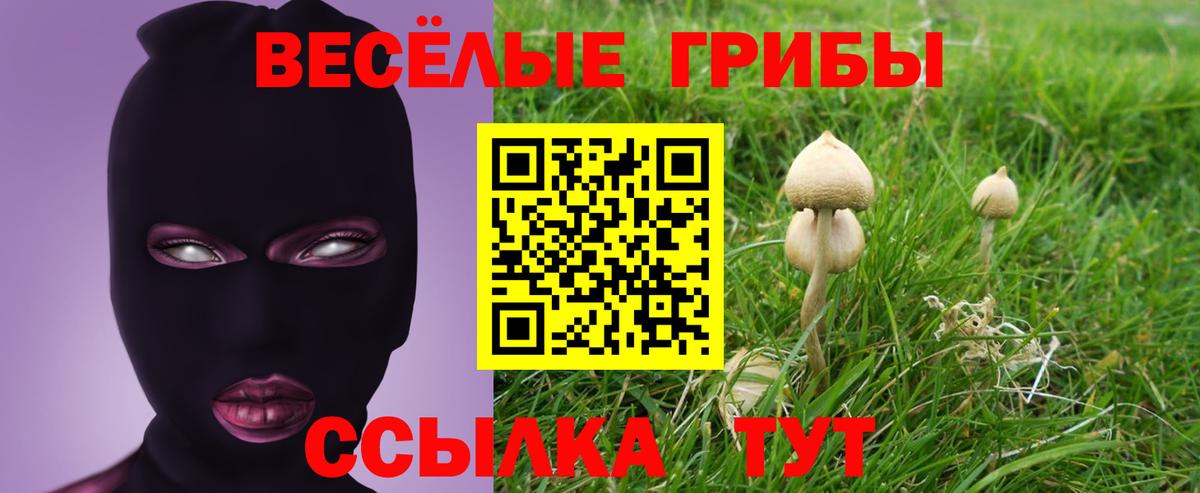 Псилоцибиновые грибы прущие грибы Обнинск